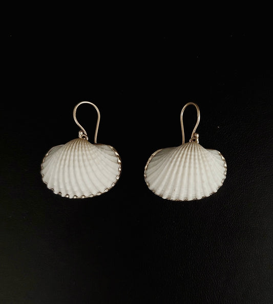 Earring Pearl Shell With Silver List