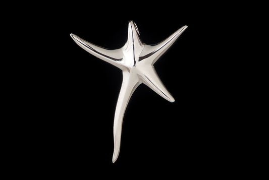 Pendant Sea Star Large 5.4 x 4.4cm