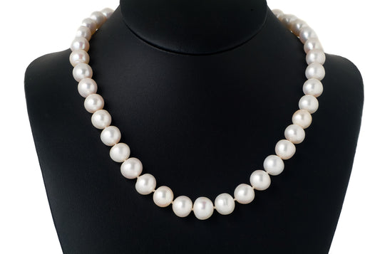 Necklace Pearl Round White Reguler 10-11mm