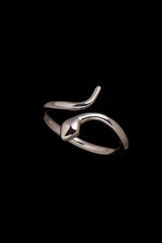Small Ring Snake Catt