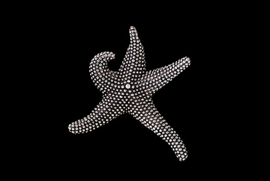 Pendant Sea Star Oxid Big 3.5cm