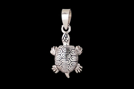 Pendant Turtle Moving